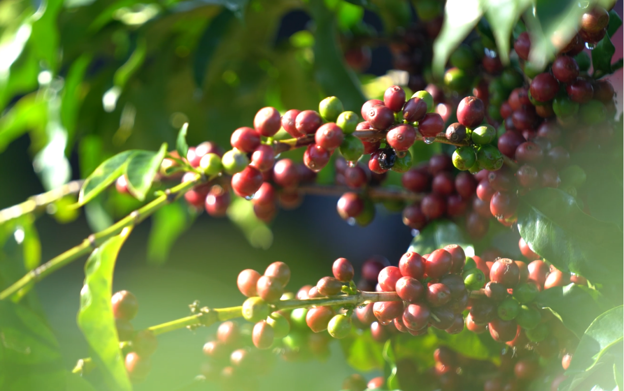 ������ʱ��(�й���)�ٷ���վ