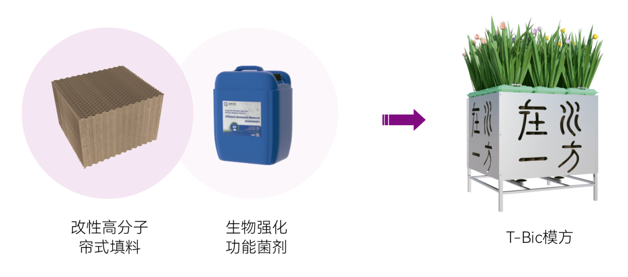 ������ʱ��(�й���)�ٷ���վ