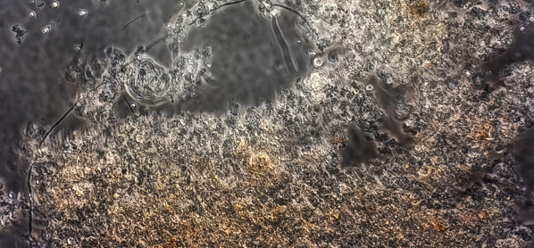 ������ʱ��(�й���)�ٷ���վ