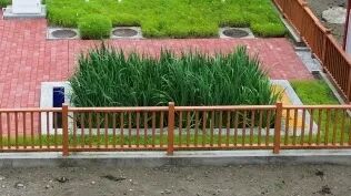 ������ʱ��(�й���)�ٷ���վ