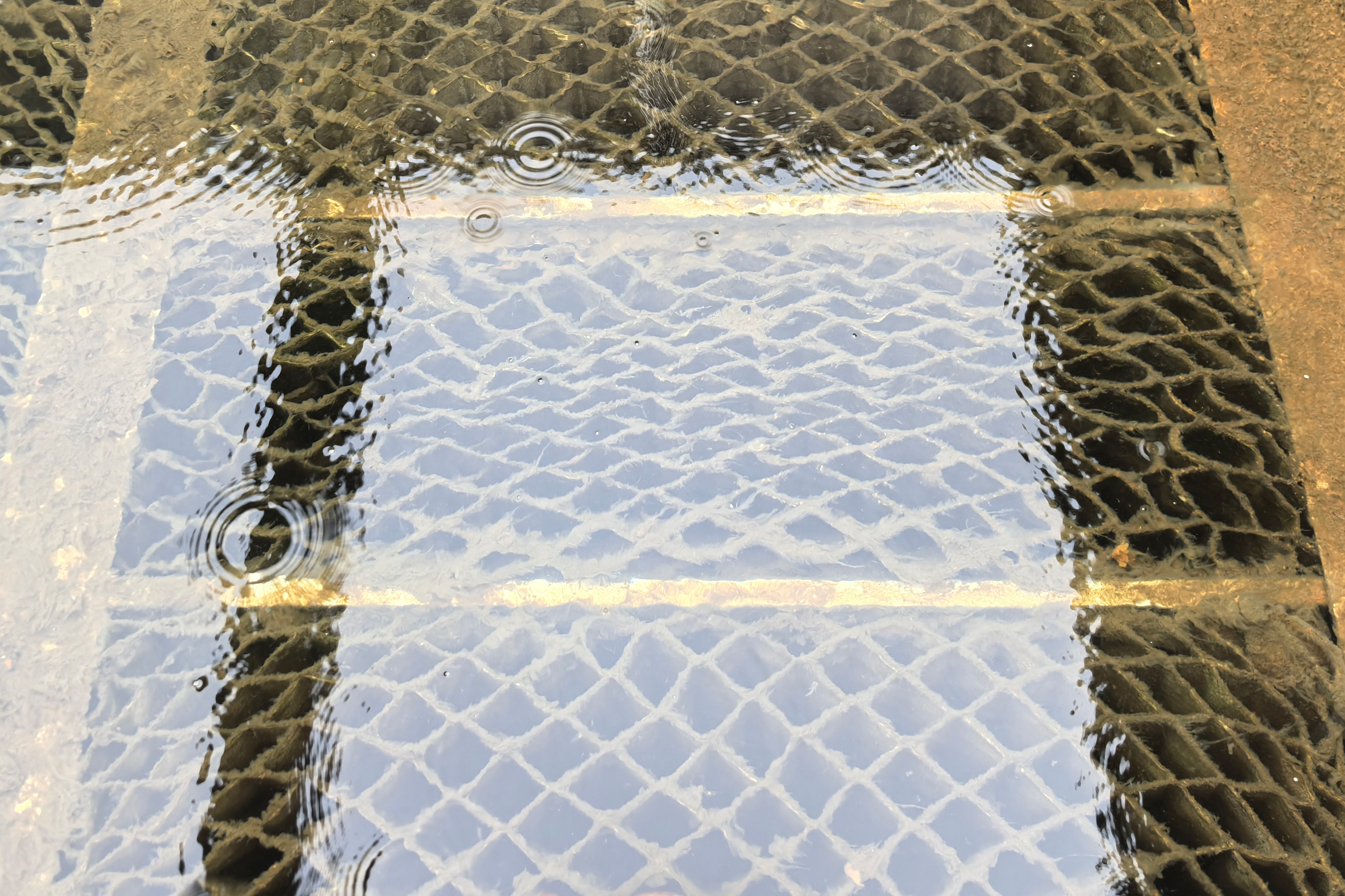 ������ʱ��(�й���)�ٷ���վ